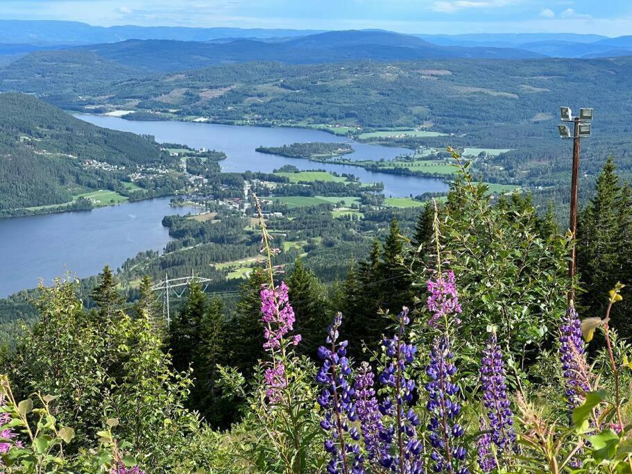« Sofly Cottage », Le Charme Pur Noresund Extérieur photo