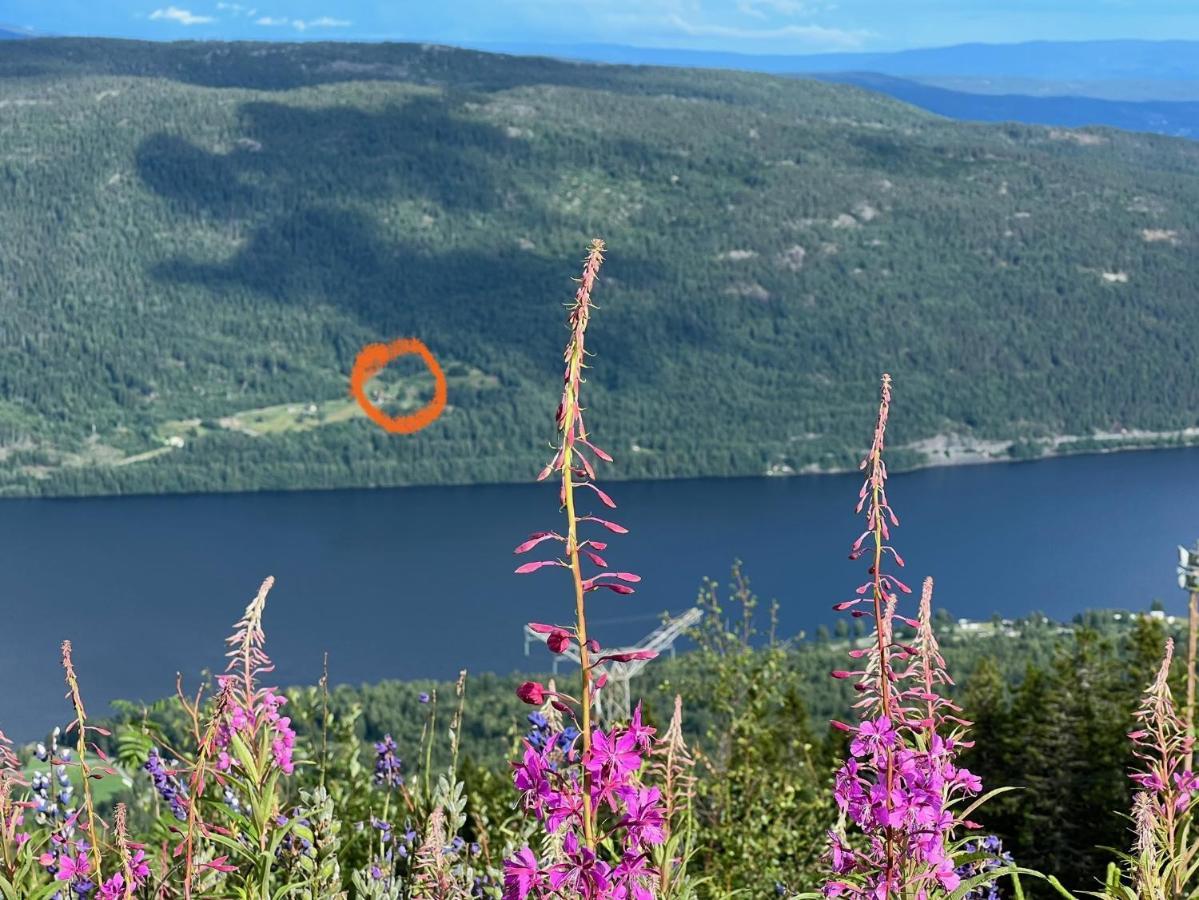 « Sofly Cottage », Le Charme Pur Noresund Extérieur photo